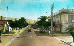 AIN EL TURCK (1165)